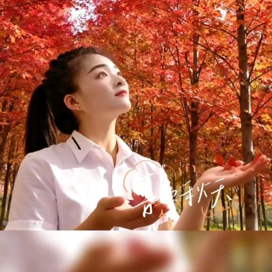 晨负婆