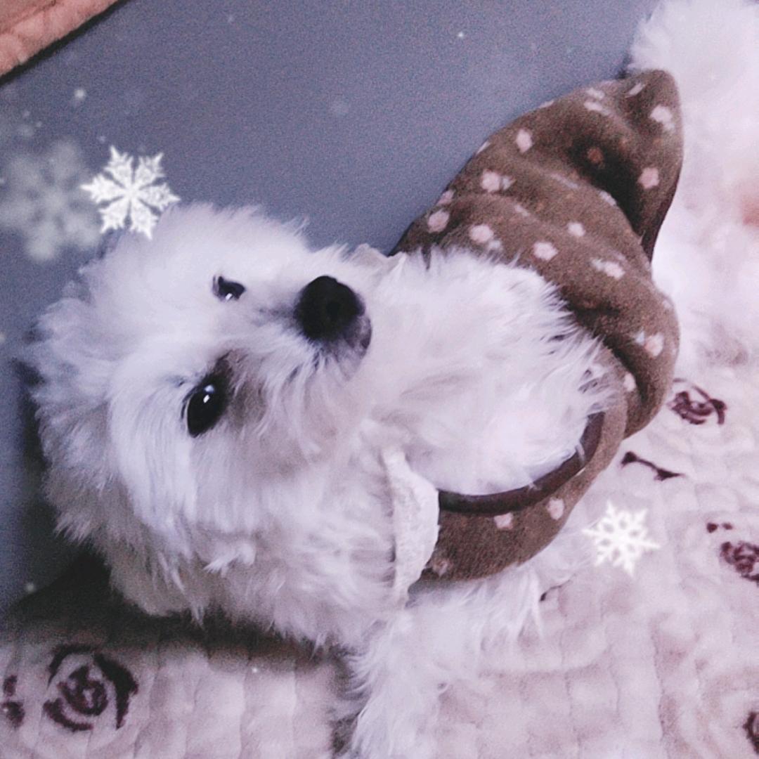 人身只有靠自己