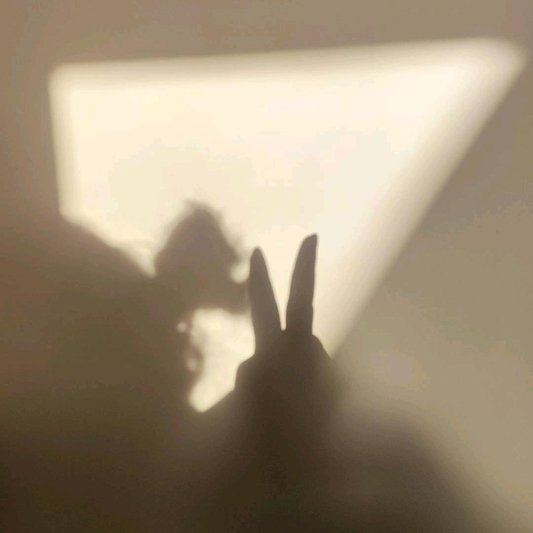 元宝和皮宝的麻麻酱
