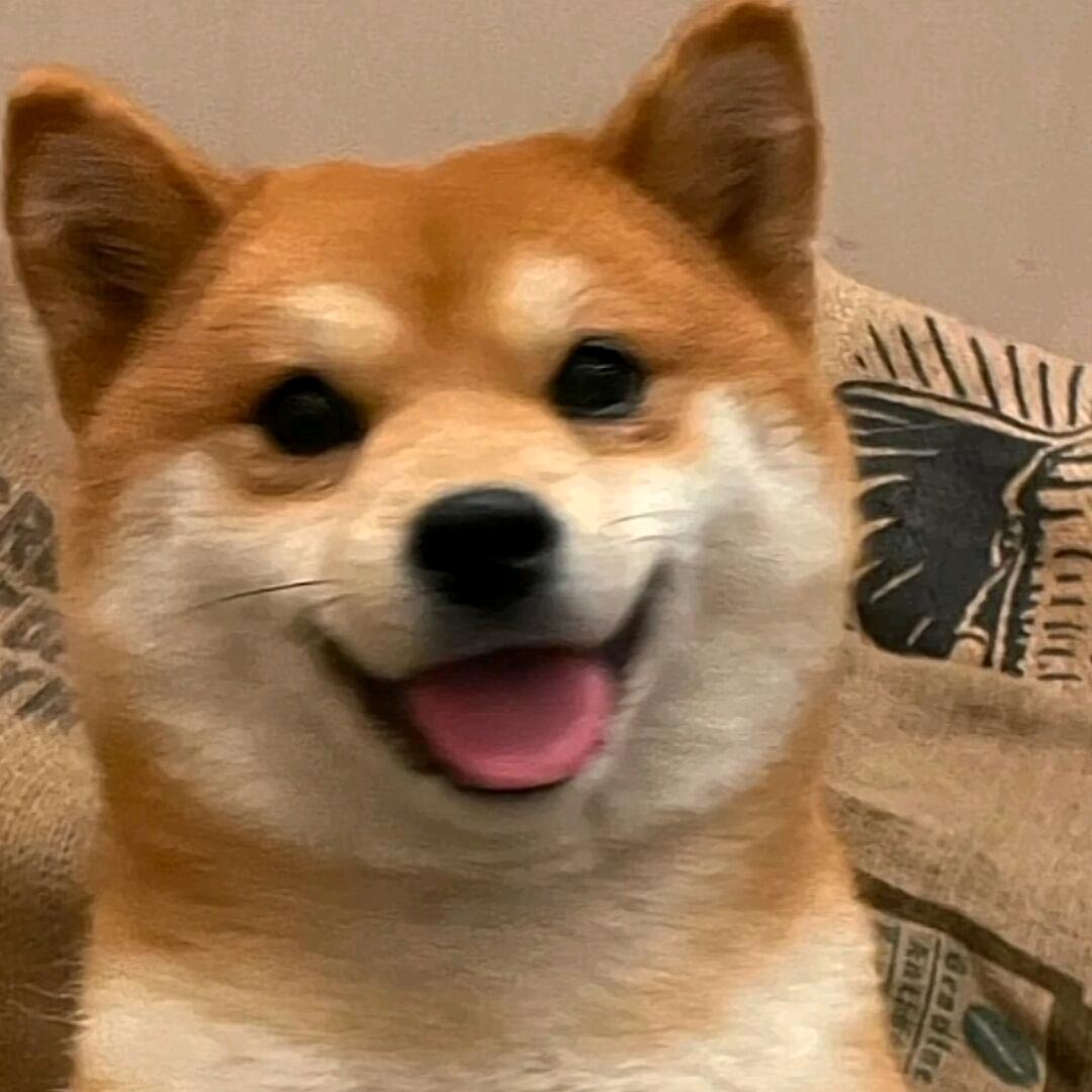 玛玛哈哈.
