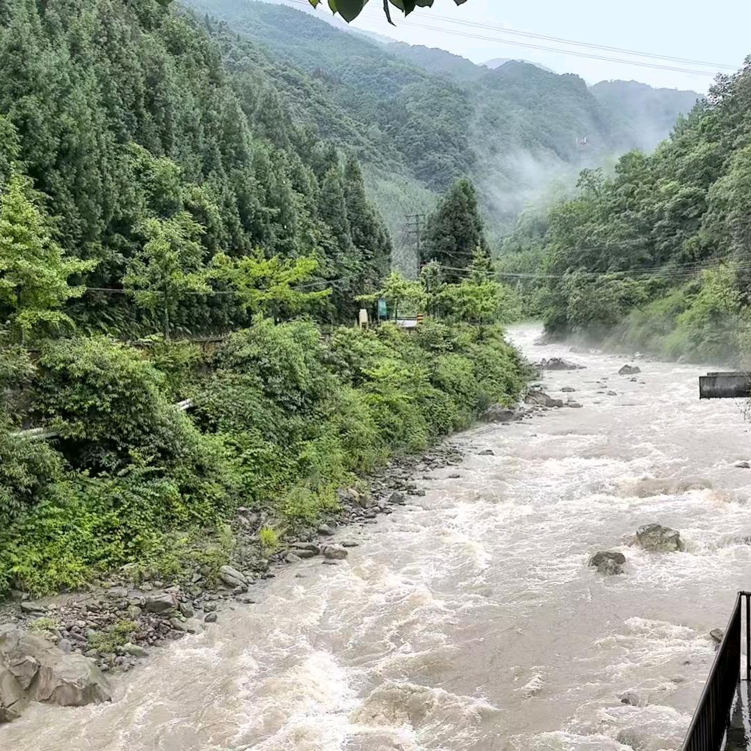 夏天的花蕊