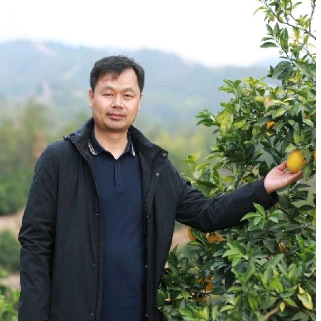 不动土栽培技术-余水静