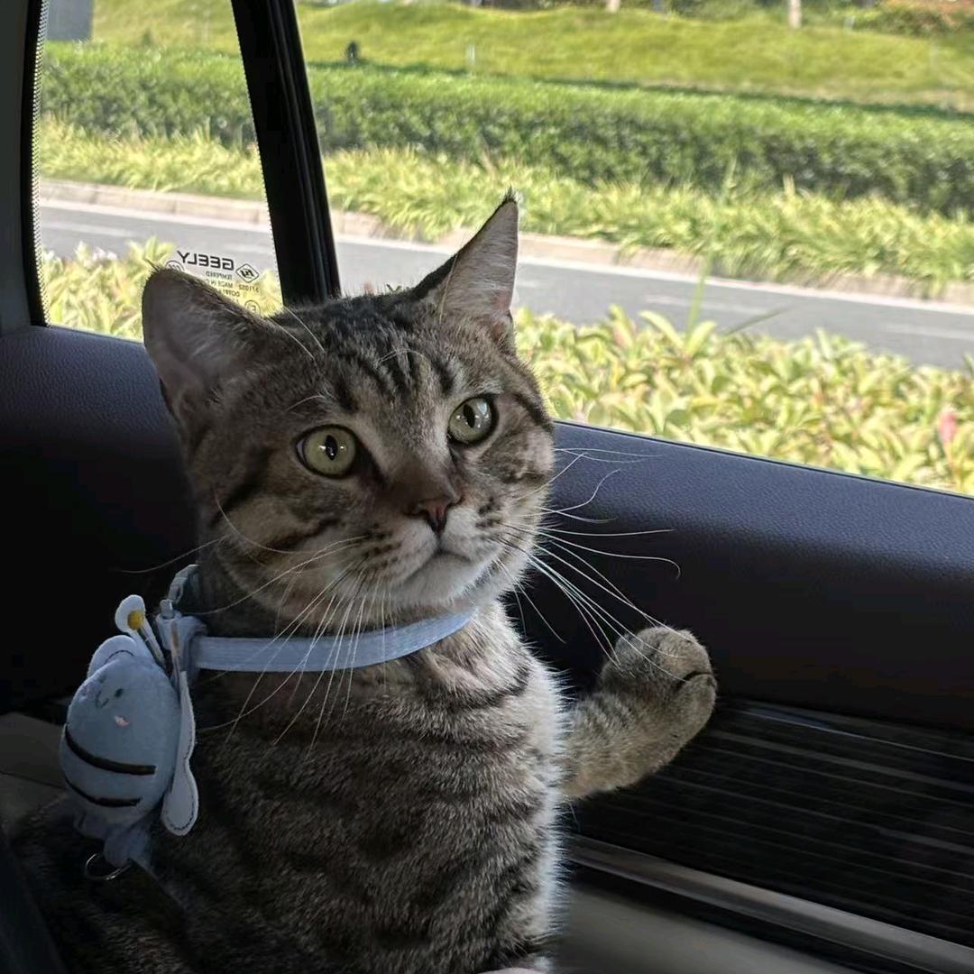 让我下个包吧QwQ