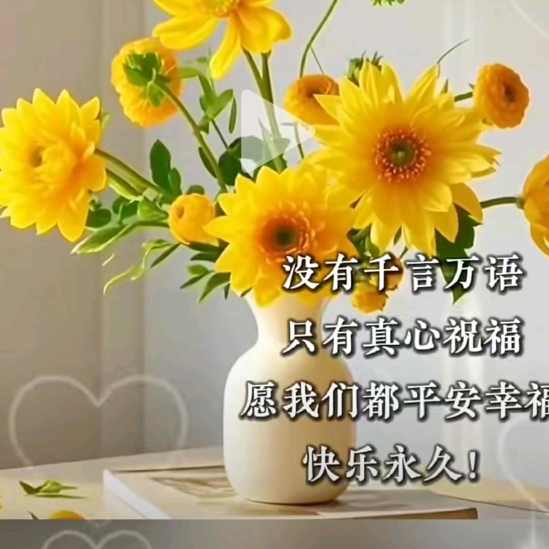 简单爱☆
