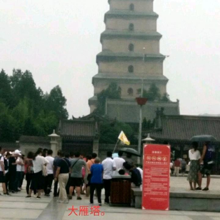 顺其自然。野马。🏇🐎