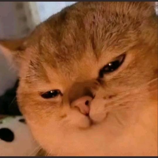 祉猷