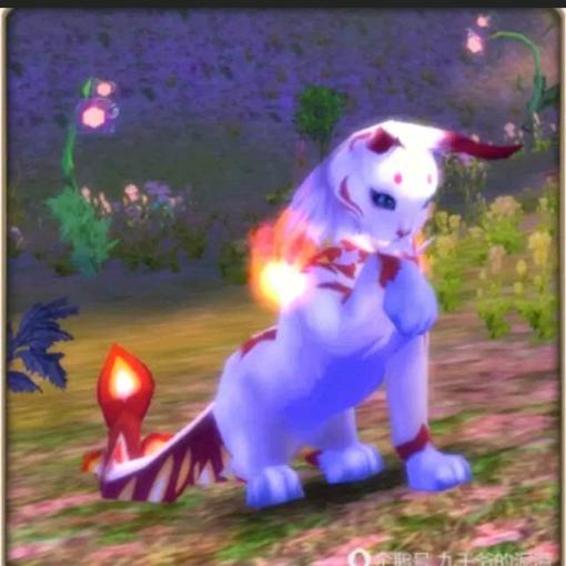 🌊²⁸¹风尘蝶恋