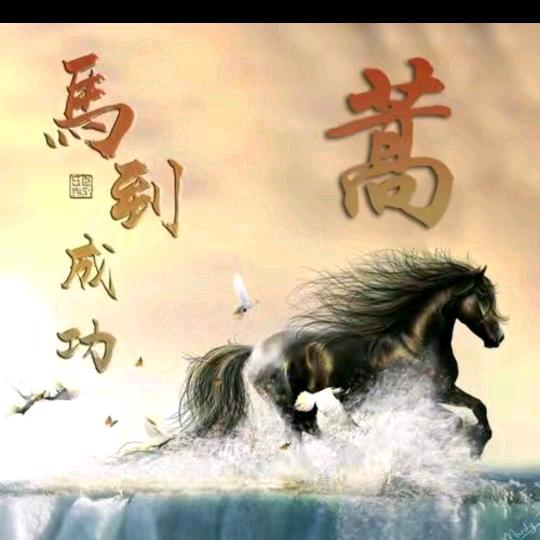 地毯专业铺装维修山东区