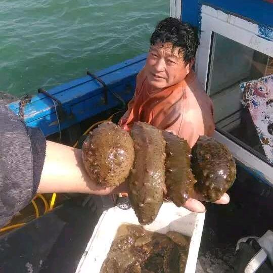 青岛潜水哥