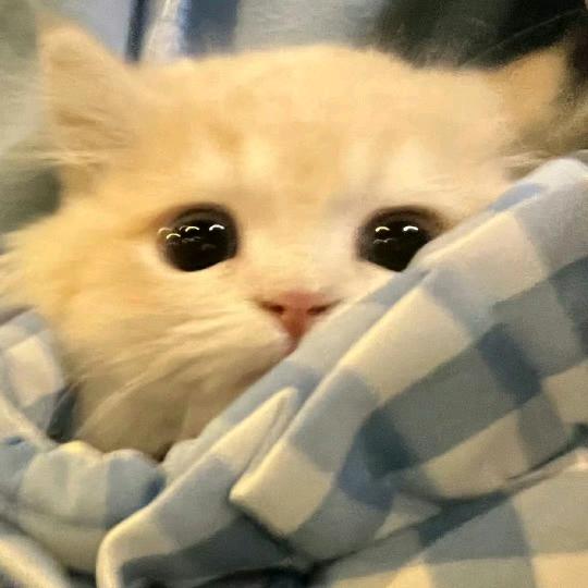 我超甜^0^