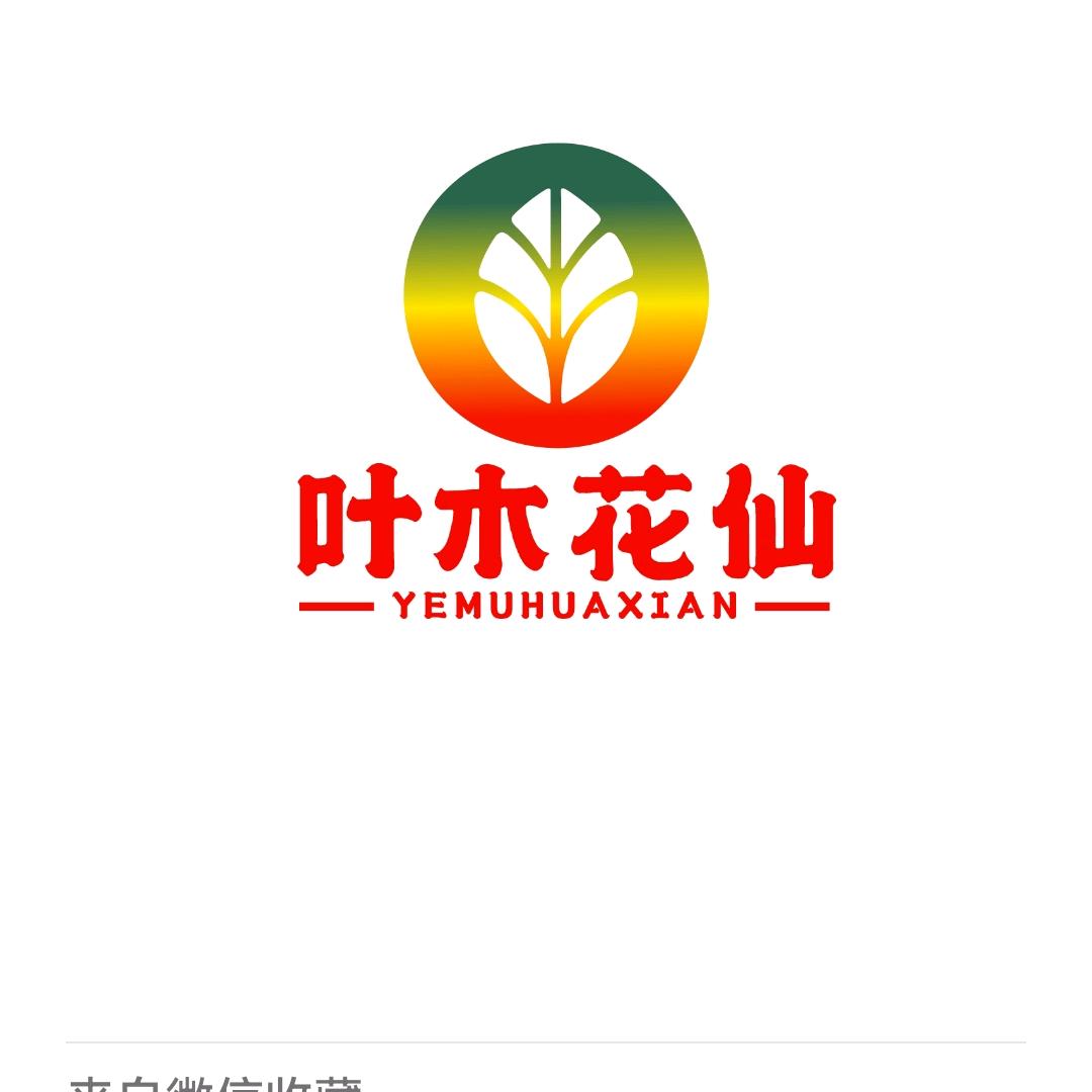 叶木花仙专营店