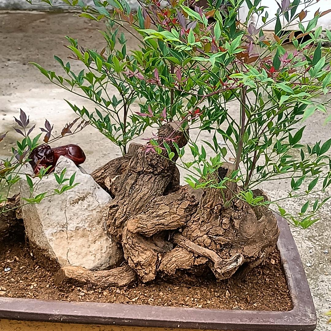 天王盖地虎