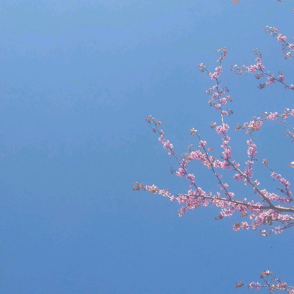 茫茫大梦中惟我独先觉