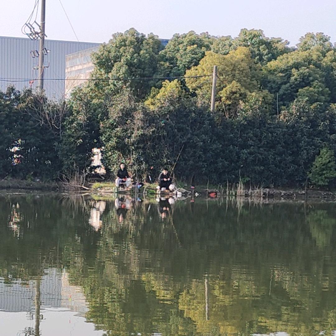 钢结构安装设计黄哥