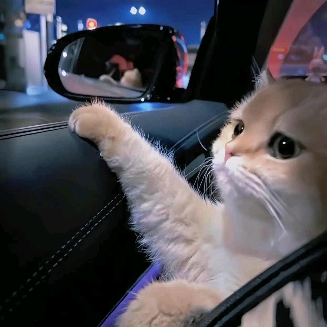 小晏说车
