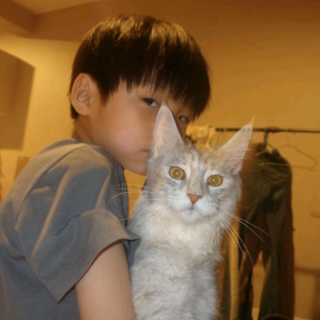 雷克萨斯🎷📷