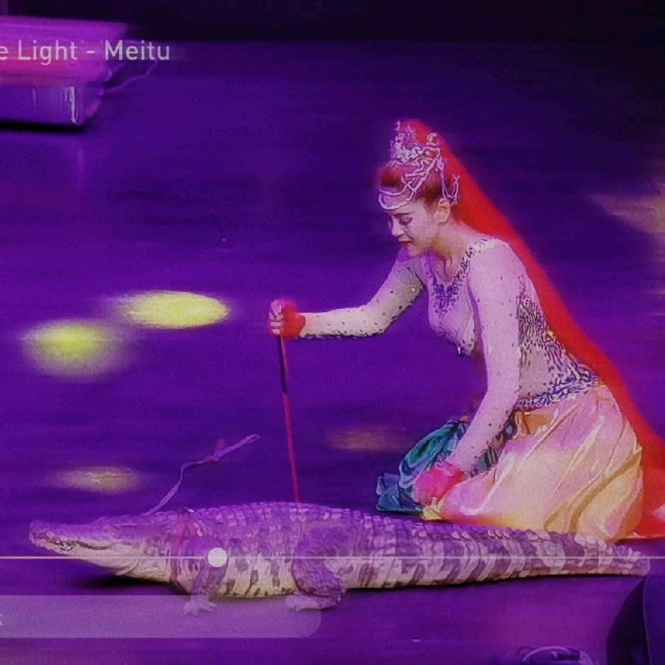 毒娘，众多不合体。