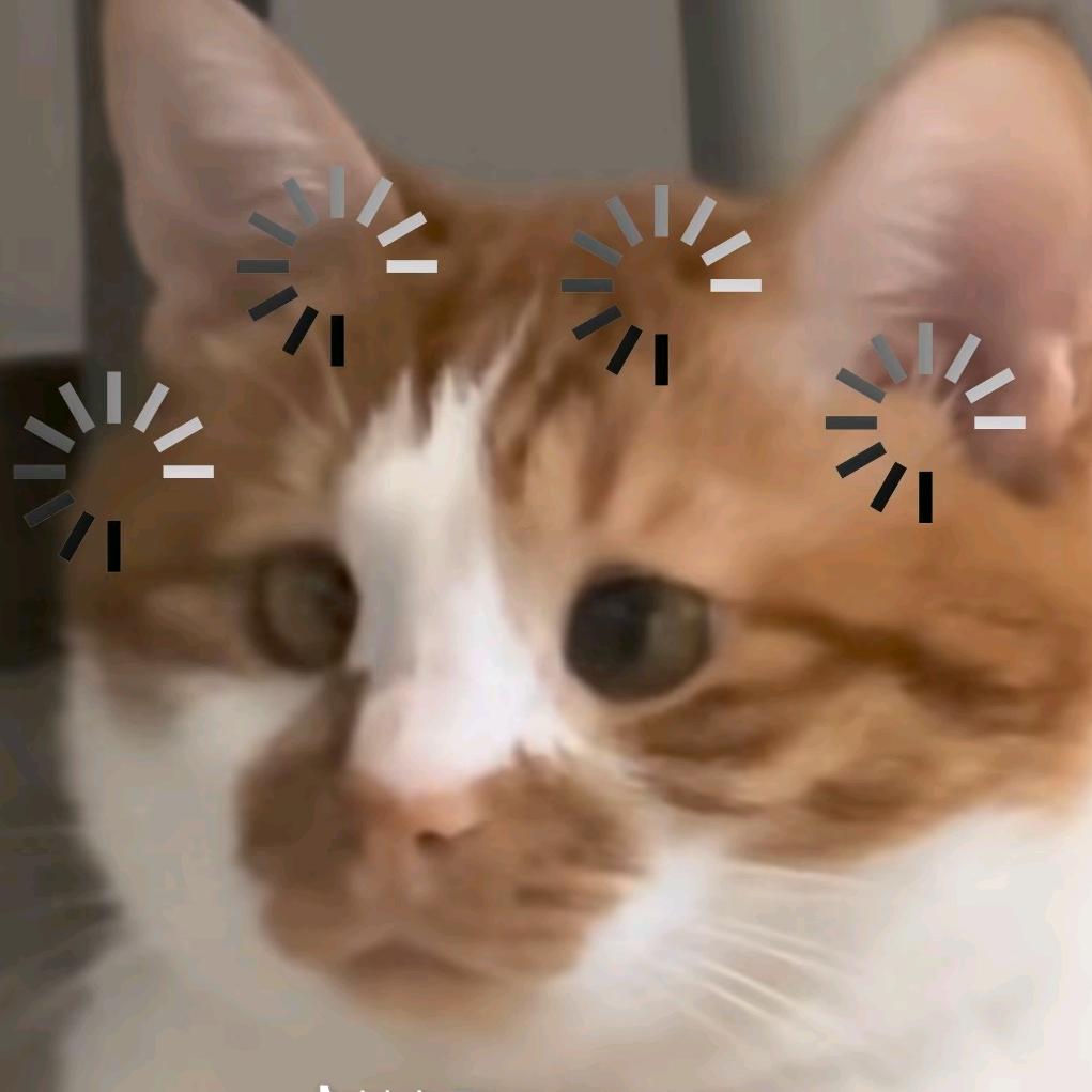 脑子去哪里了
