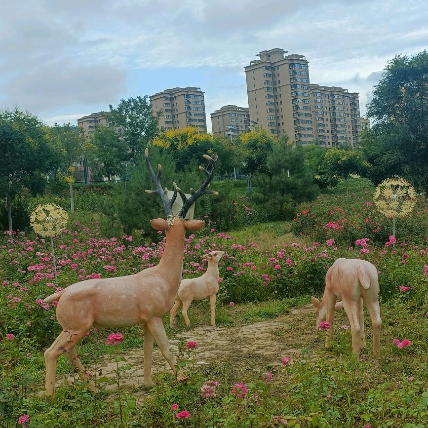 岁月静好