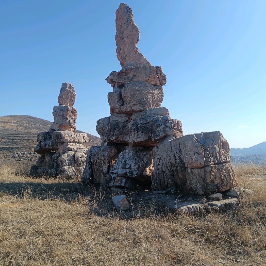 A鹿泉山地苹果采摘