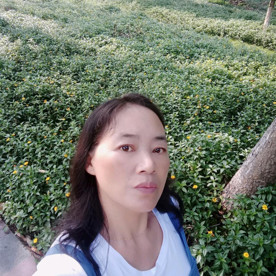 云南四姐，百草良方