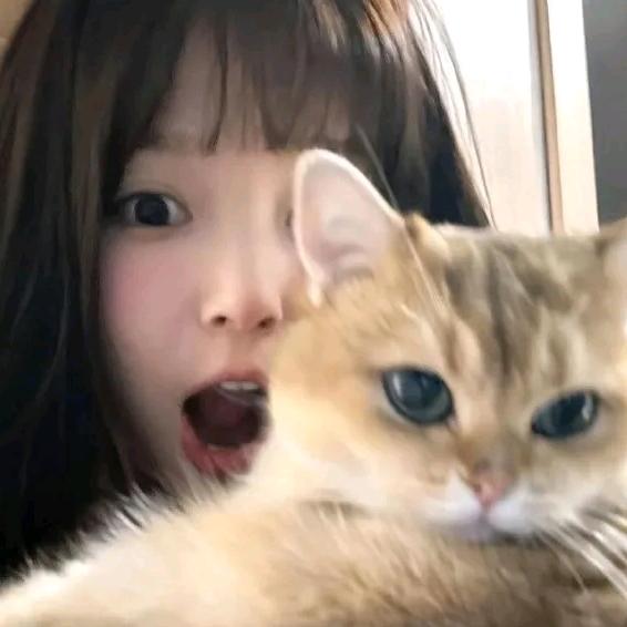 麻辣蒜蓉🕊️♠