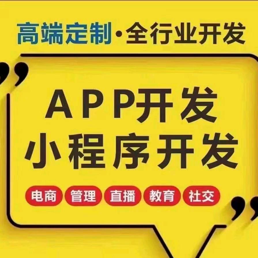 10年专注系统开发