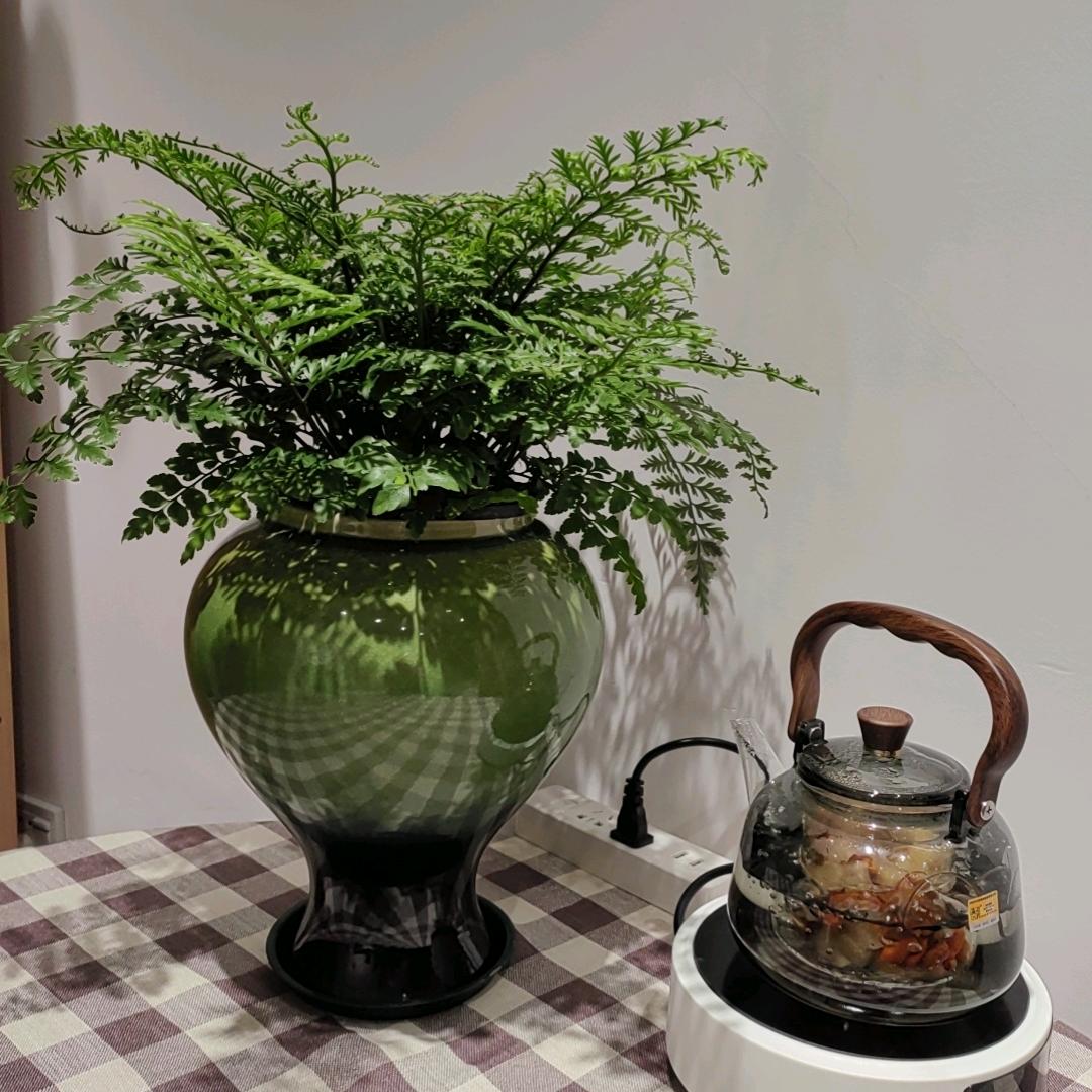 牛牛妈妈