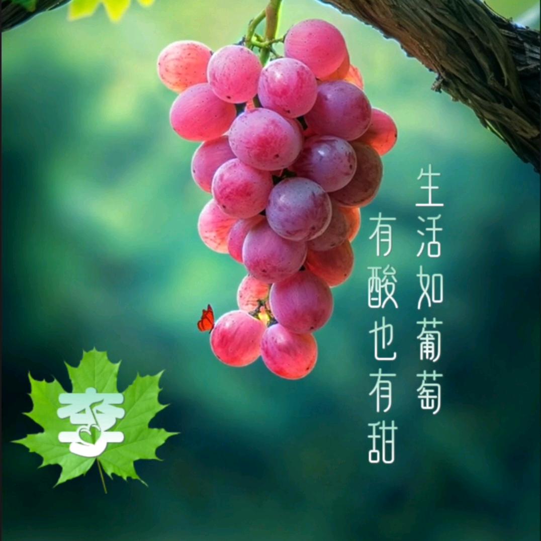 九