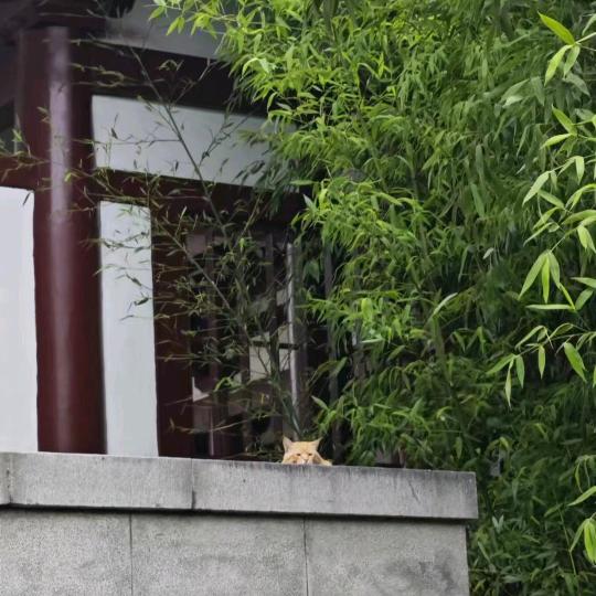 夹馍大叔