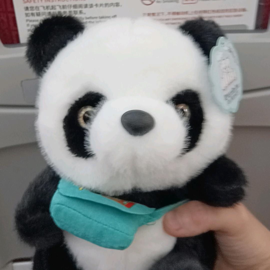 一句先苦后甜，我等了一年又一年