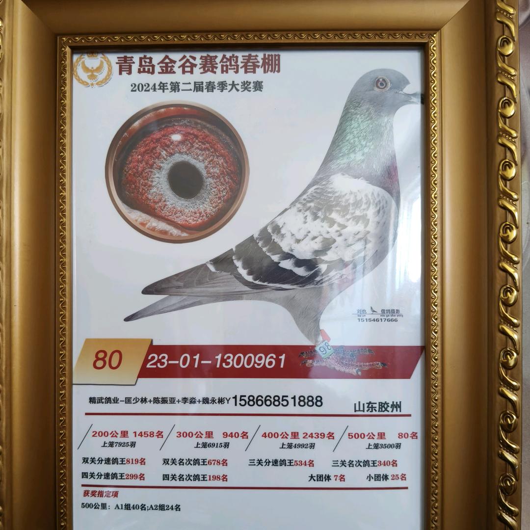 精武鸽业