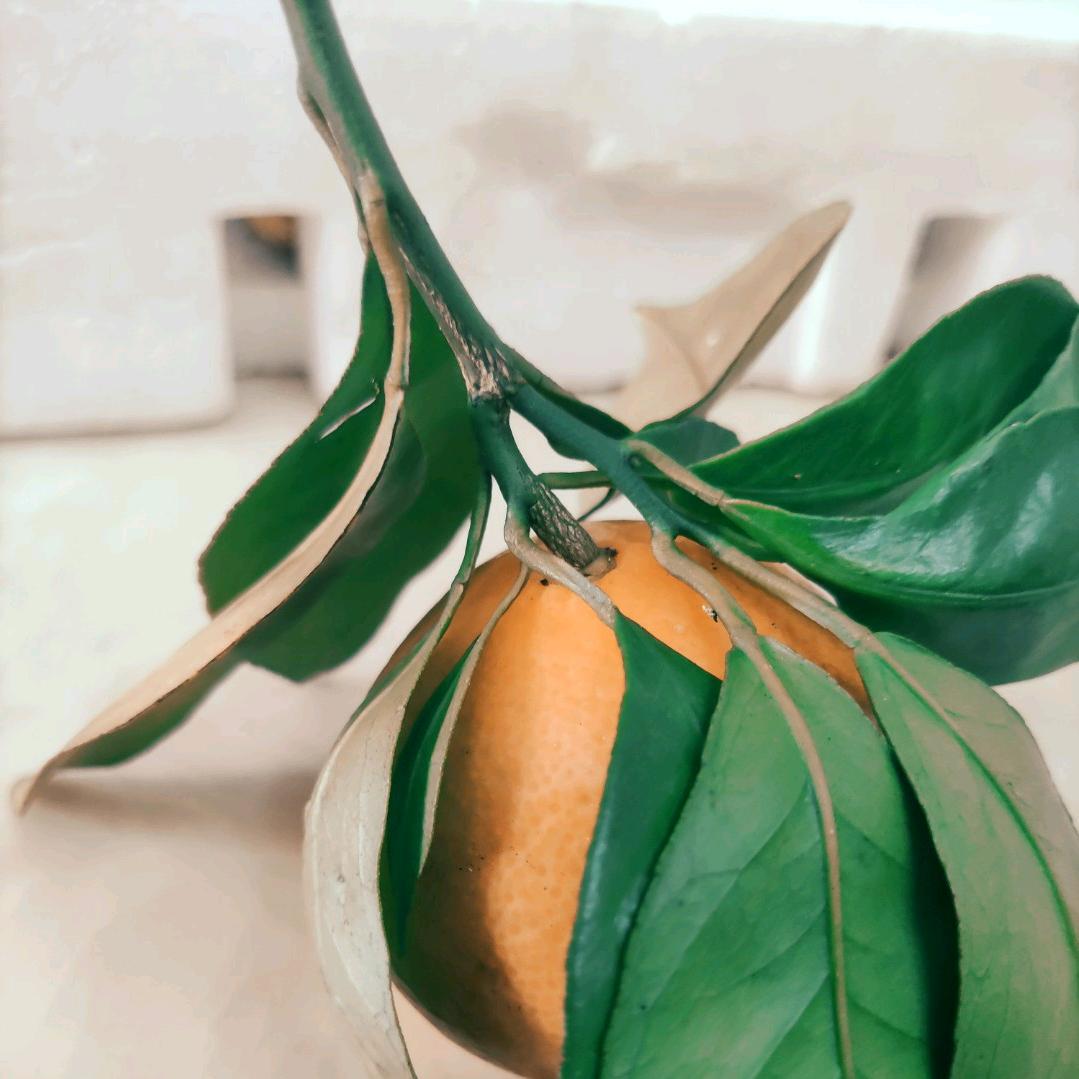 林鑫