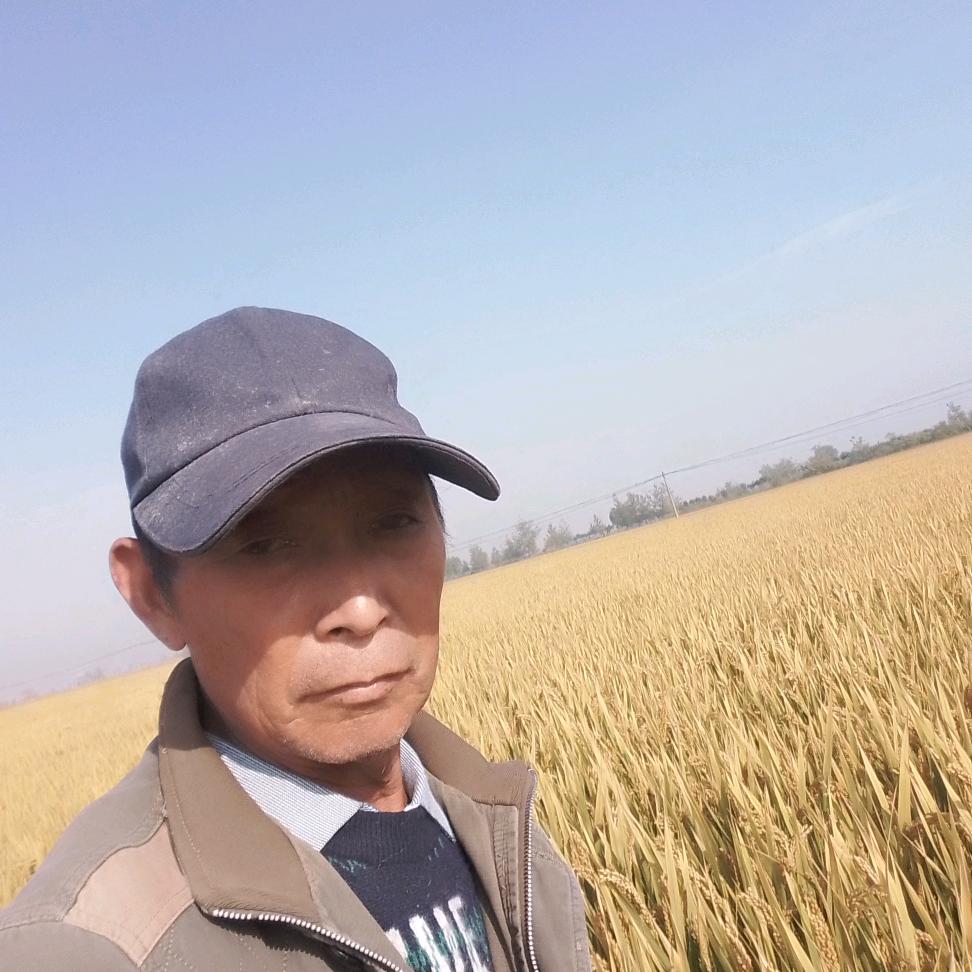 ^无限夕阳
