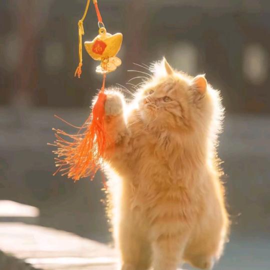 ℒᎭℯ半寸ོ时光🦋