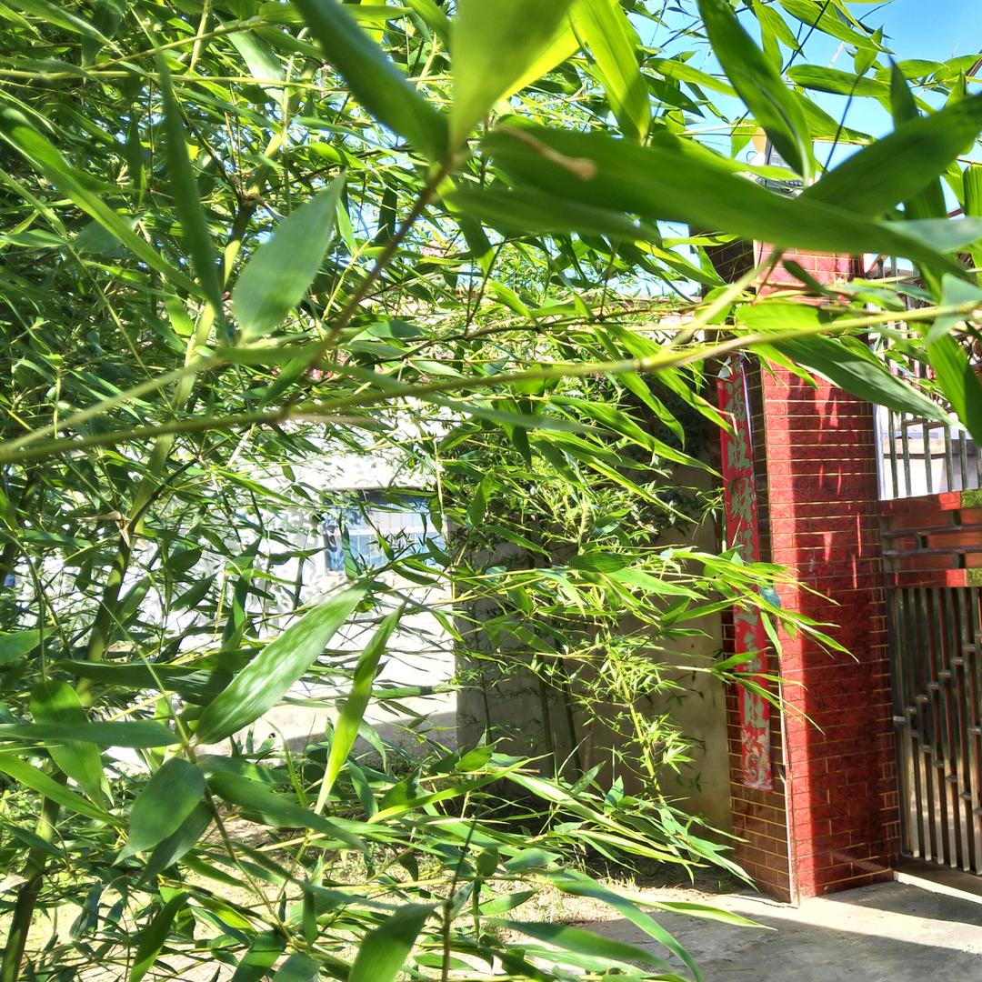 王国安书法艺术