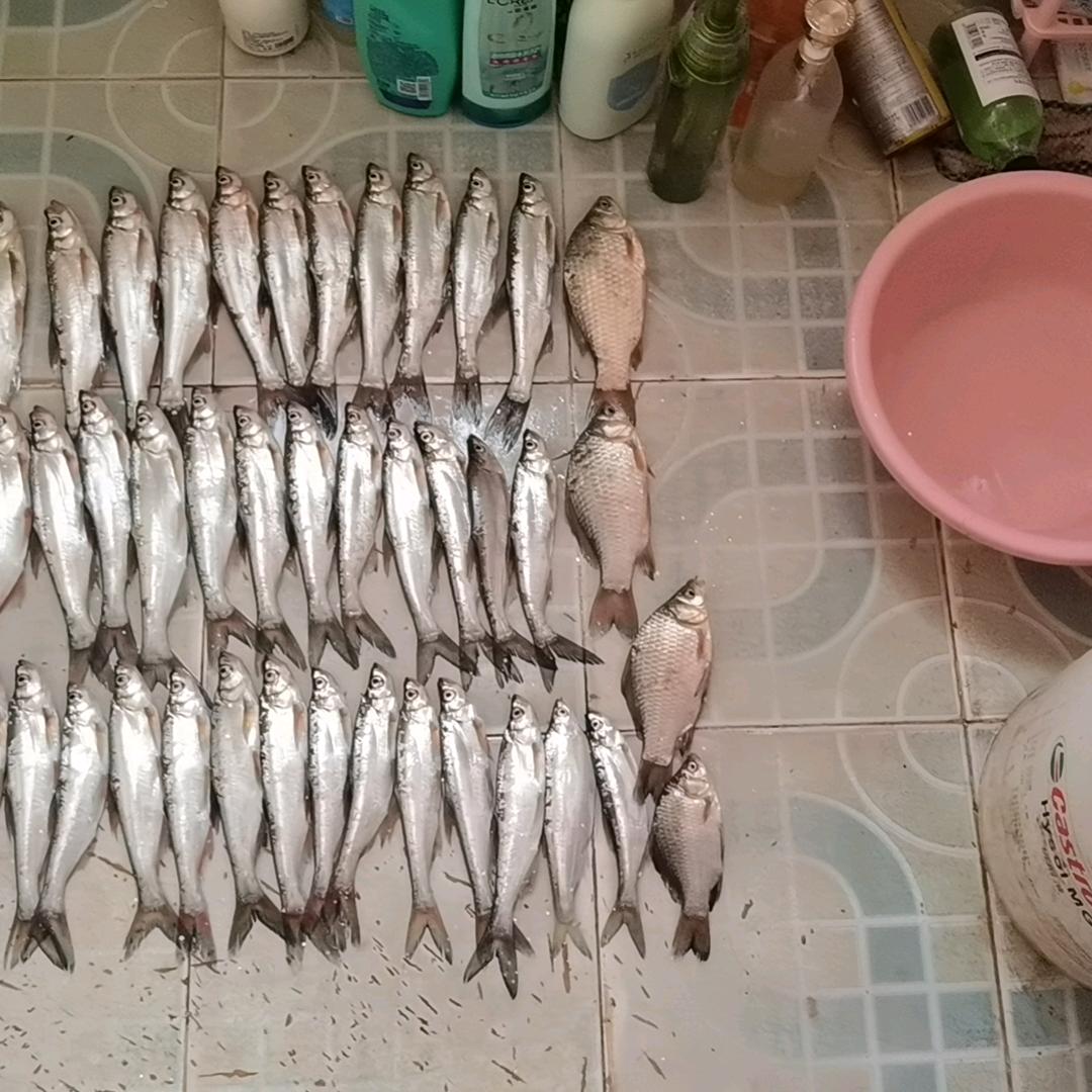 府河小钓手
