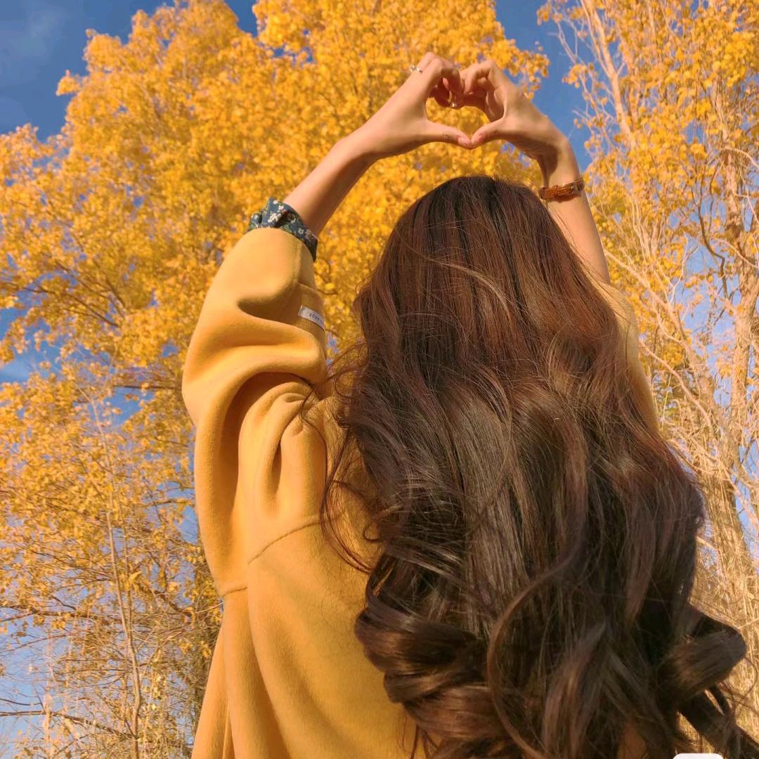 🌾婉秋☘️