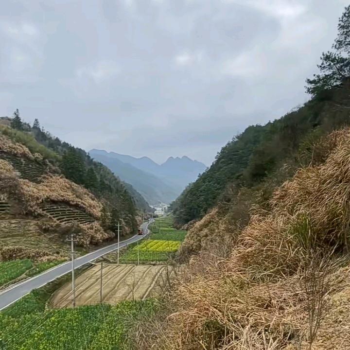 辣条小新