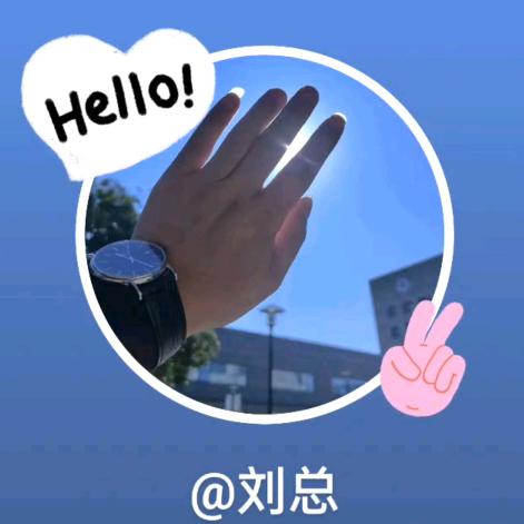 刘总