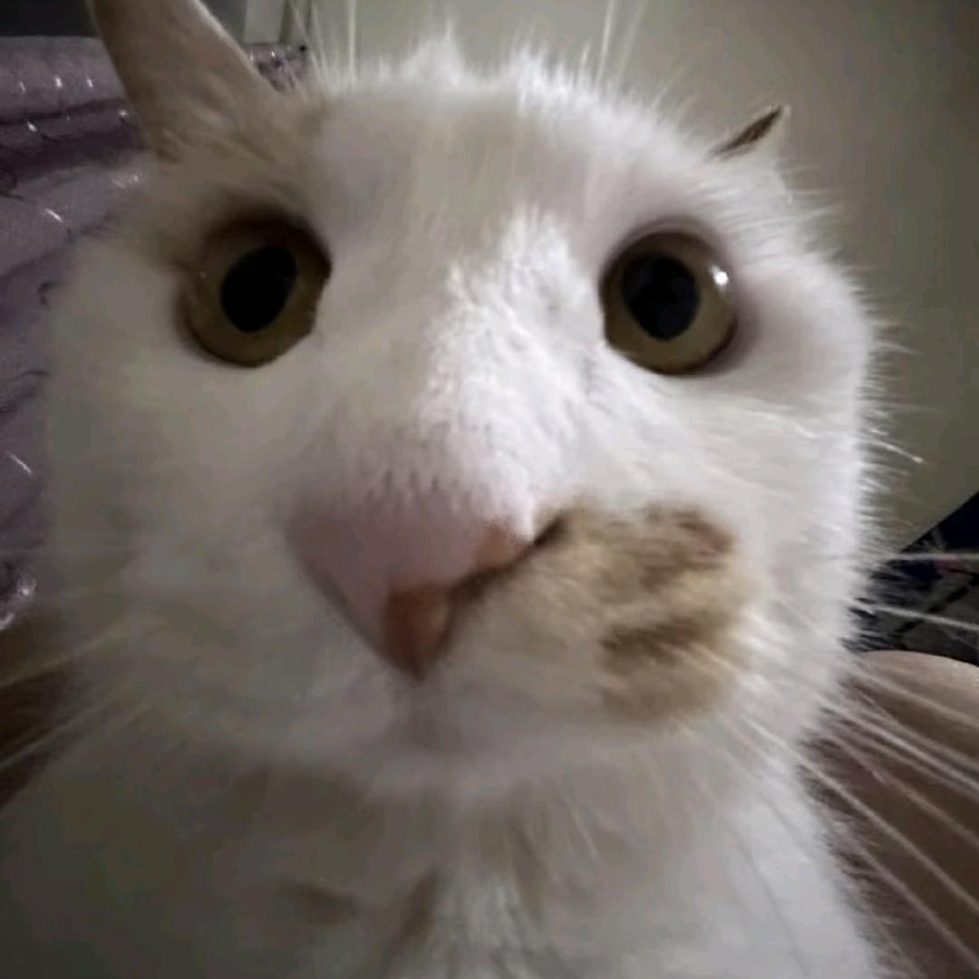 厚力