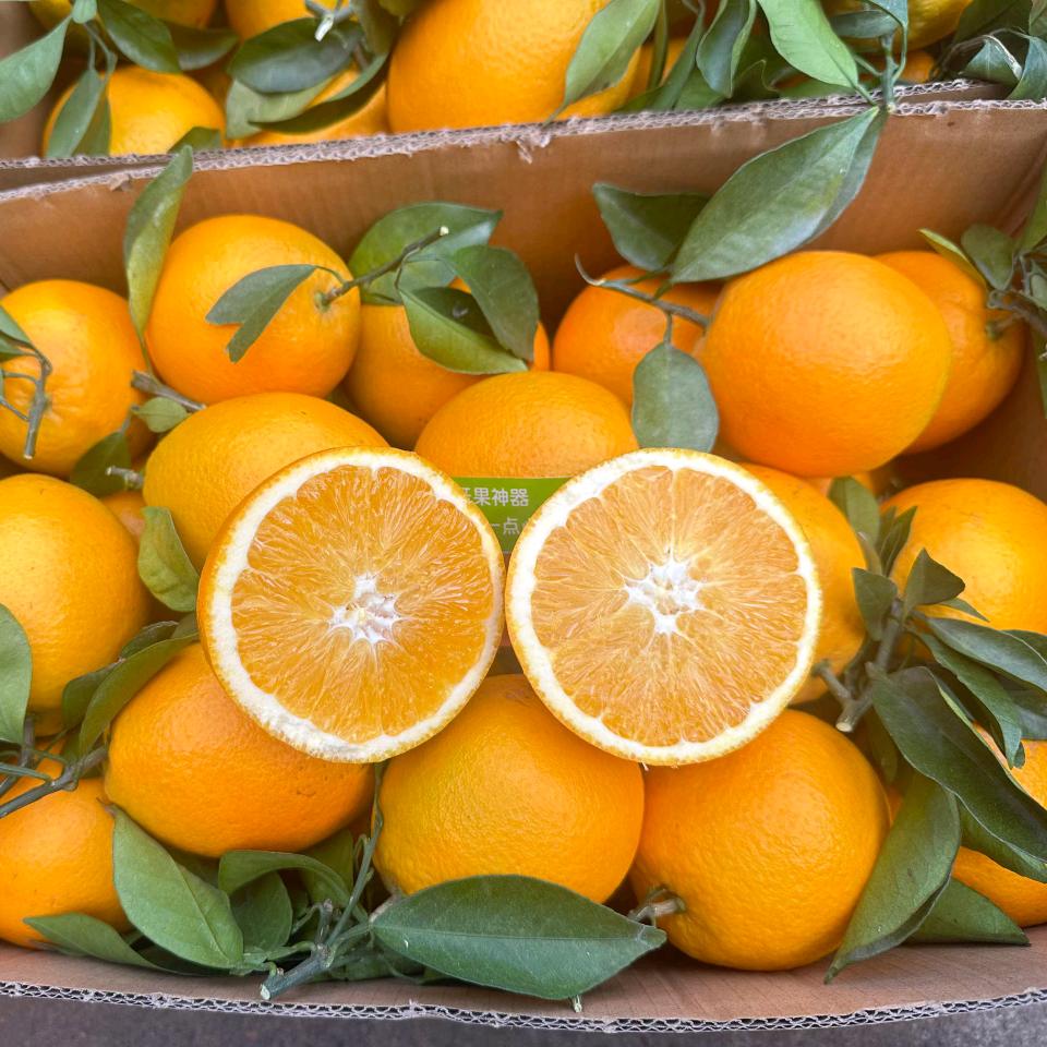 正宗赣南脐橙（现摘现发）