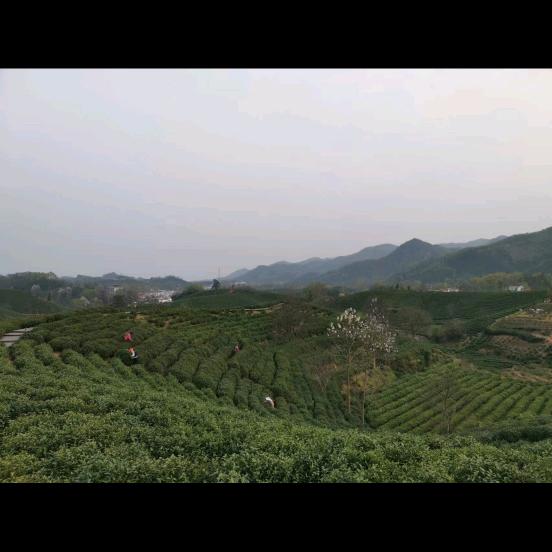 呵呵欧克
