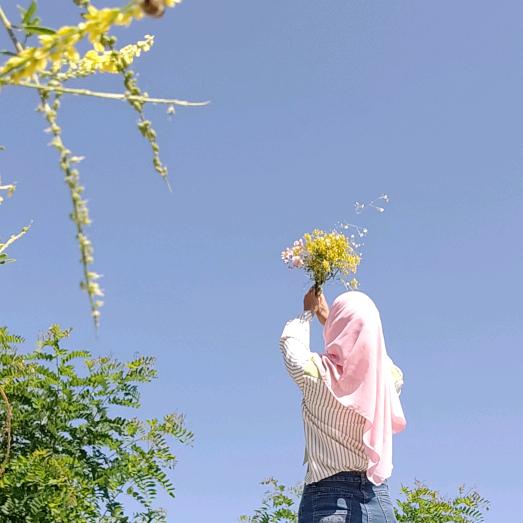 冬日的一丝暖风