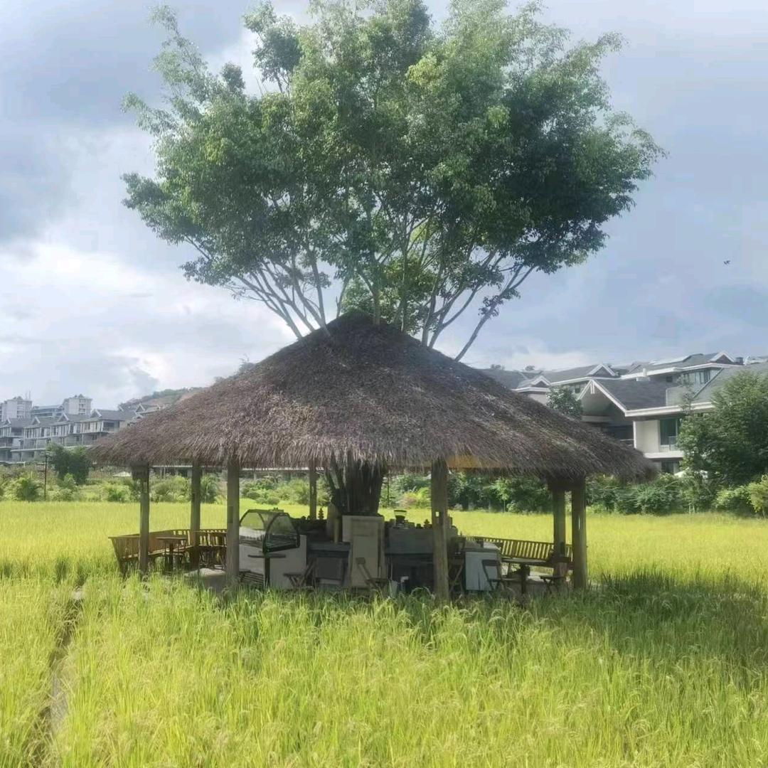 (>﹏微风轻哨﹏<)