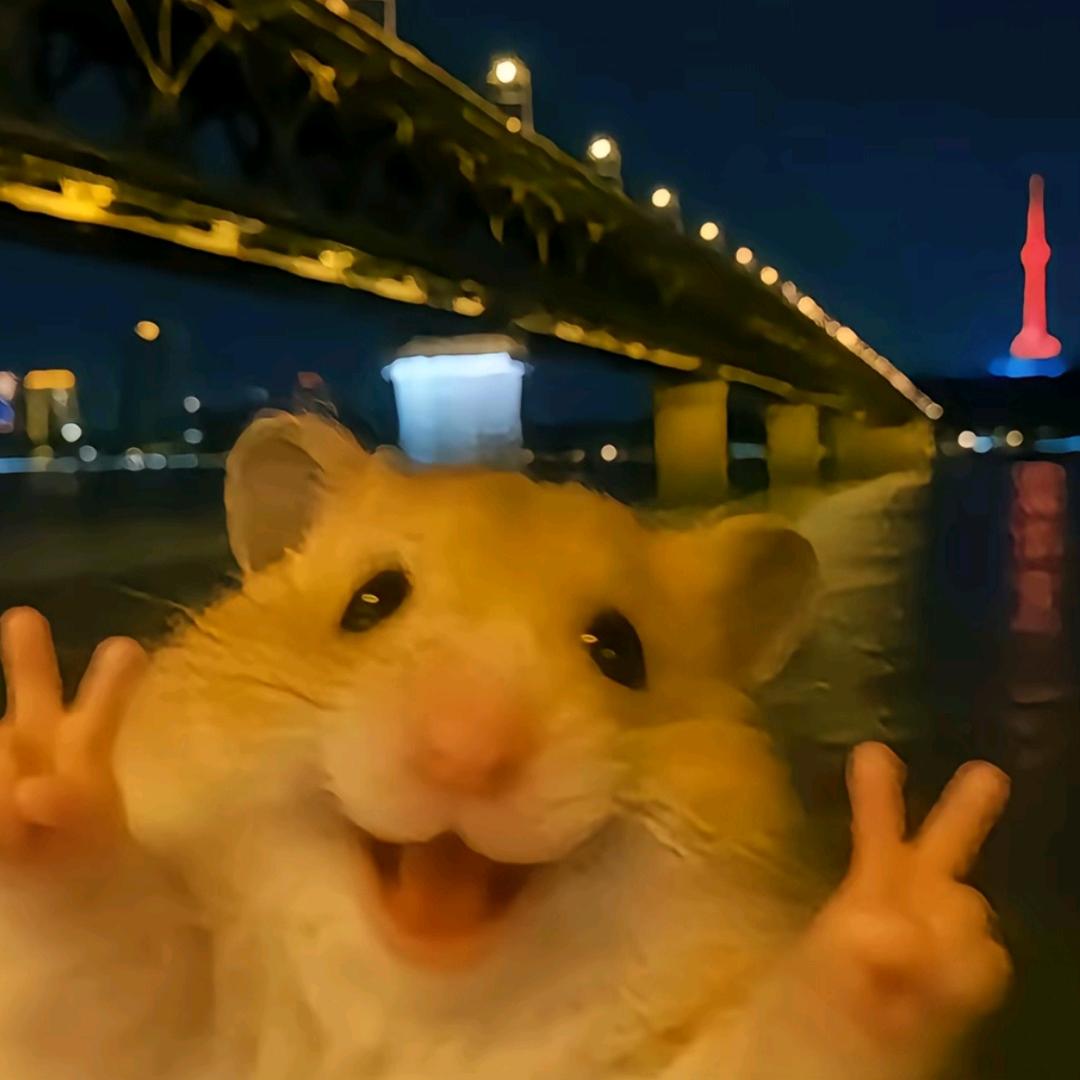 白墨
