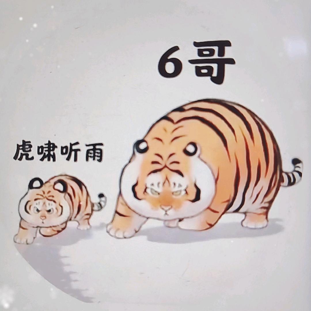 🐯~虎啸听雨吟