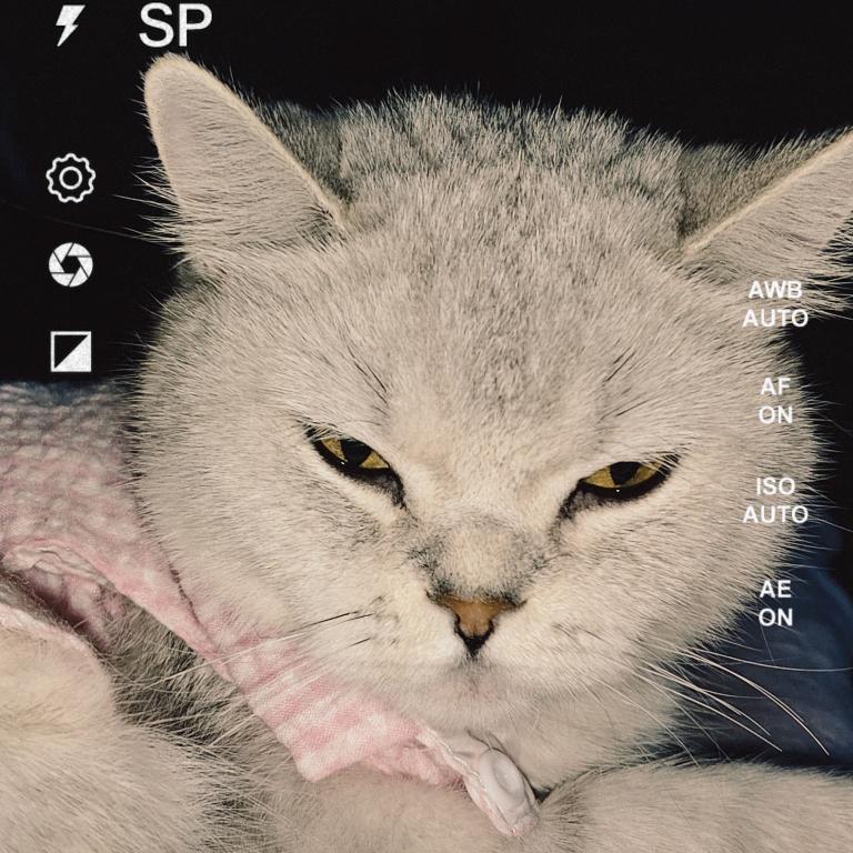 小银花