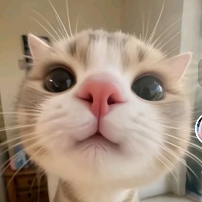 (｀･ω･´)ゞ敬礼っ