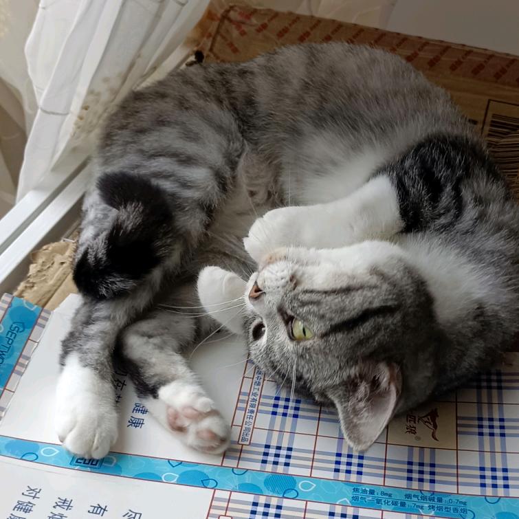 省略号